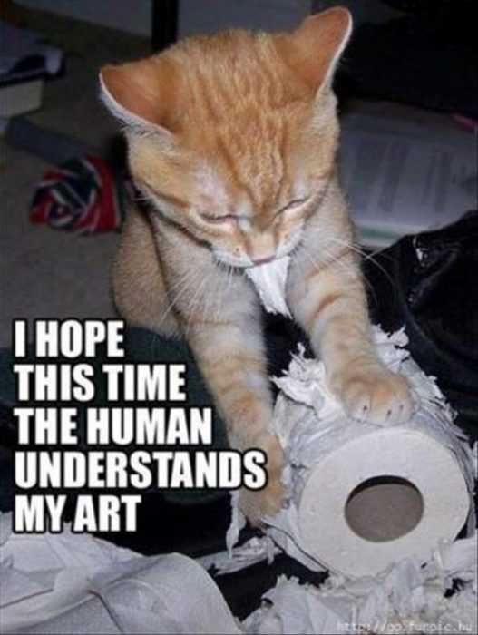 Cat15