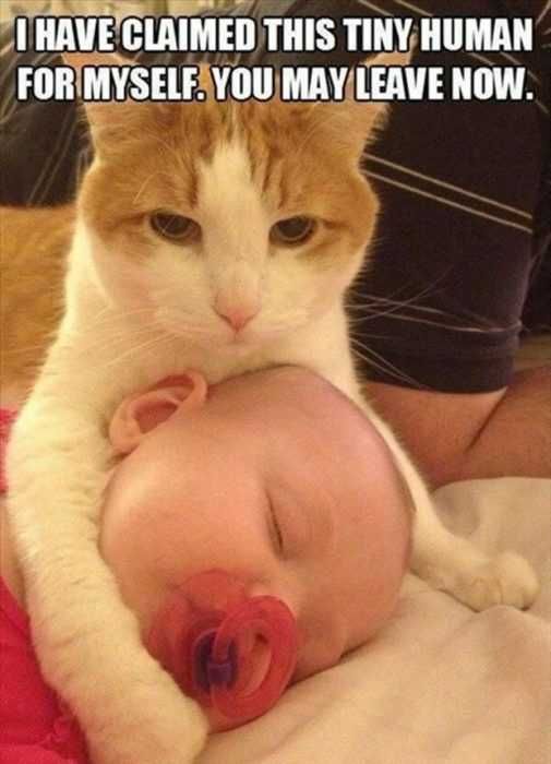 Cat5