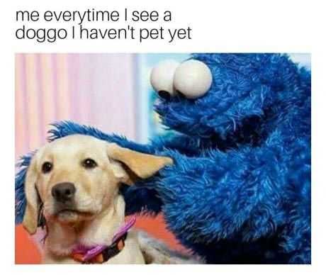 D1