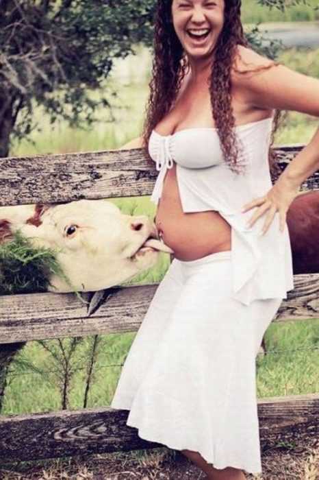 Family Cow Lick
