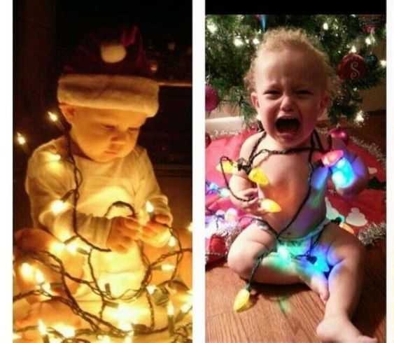 Family Ligts