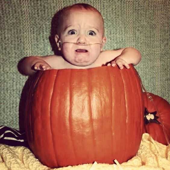 Family Pumpkin