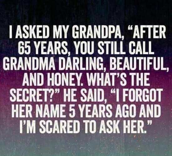 Sarcastic Witty Pun 3 Getting Old Quotes