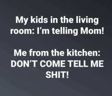 Witty Quotes Witty Parenting Quotes