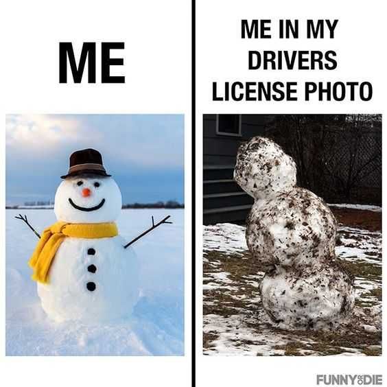 Funny Driver Photo