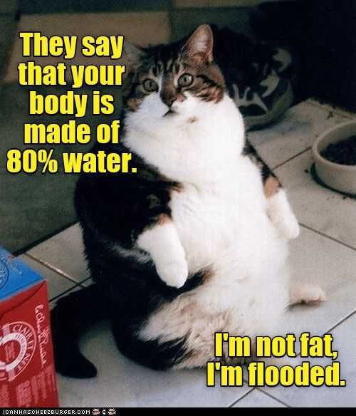Funny Flooded