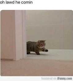 Funny He Coming
