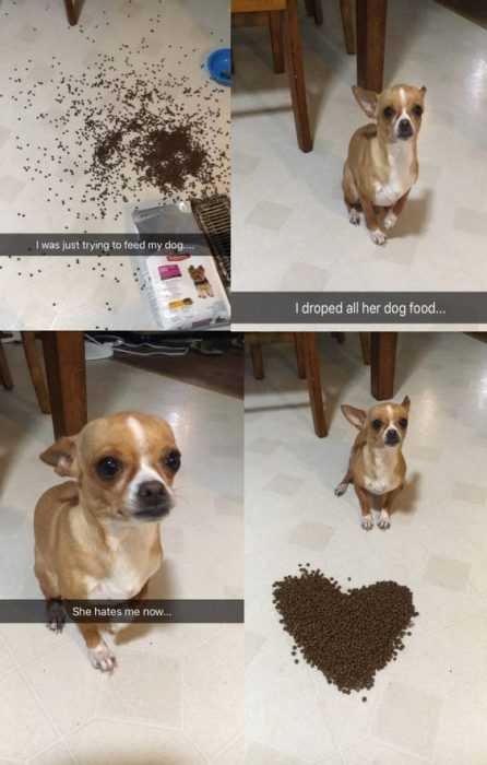 Funny Heart Food