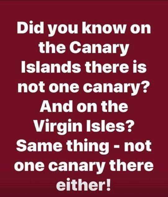 Witty Quotes 5 Geography Quotes