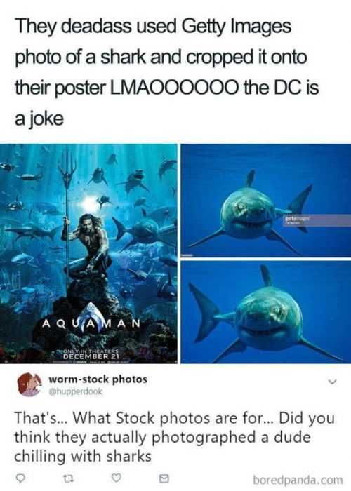 Funny Shark