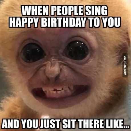 Funny Sit There Happy Birthday