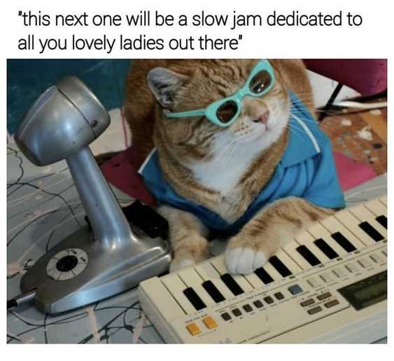 Funny Slow Jam 1