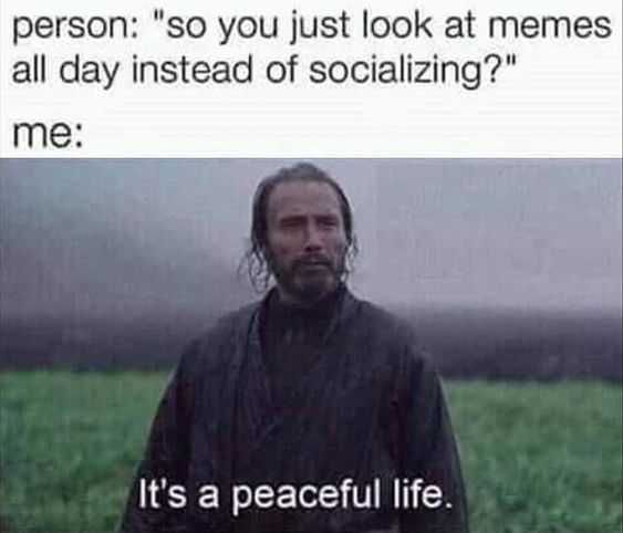 Funny Socializing Peaceful