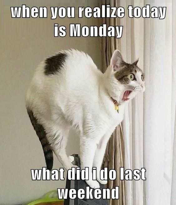 Funny Today Monday