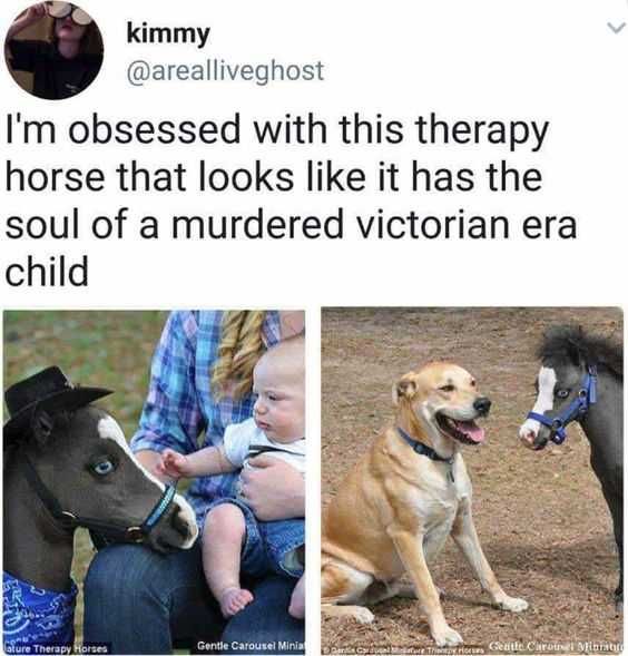Funny Victorian Horse
