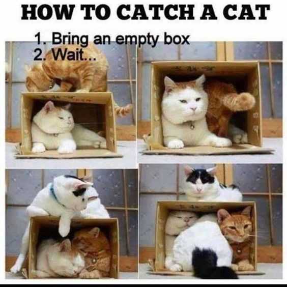Funny Wait