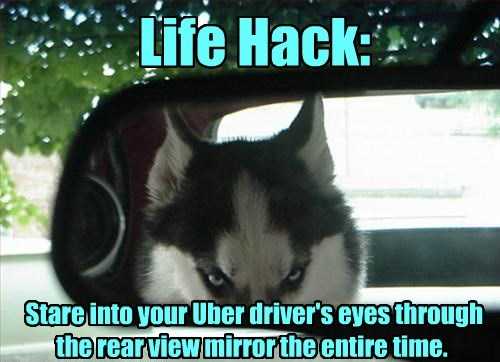 Hack23
