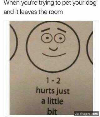 Meme Leaves