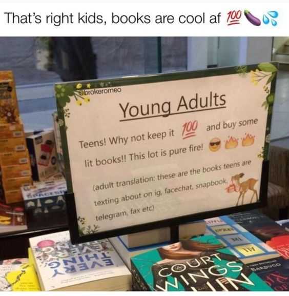 Meme Lit