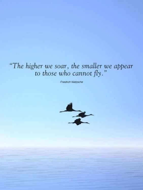 Quote Smaller Appear