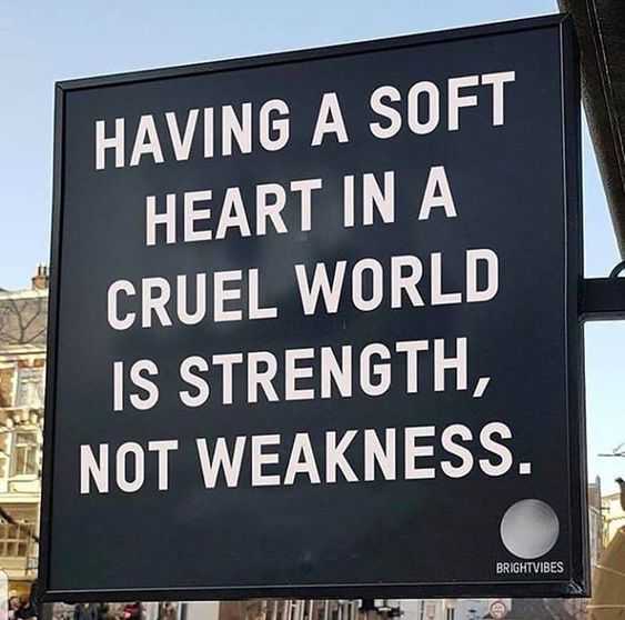 Qute Sft Heart