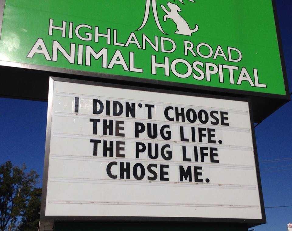 Sign19