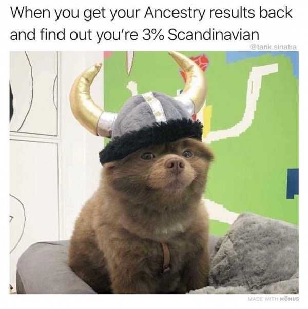 Animals8