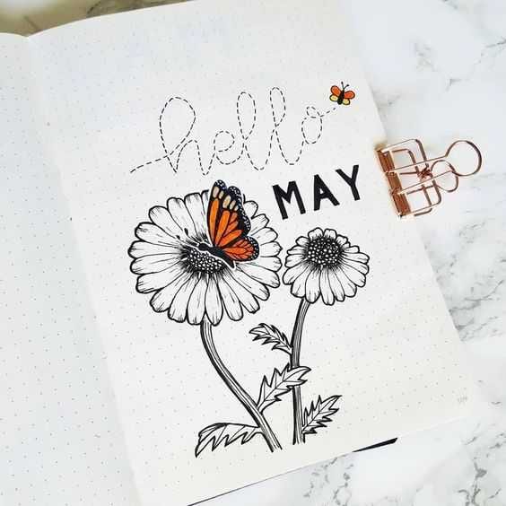 Diy Butterfly May