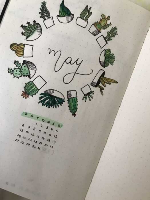 Diy Cactus May