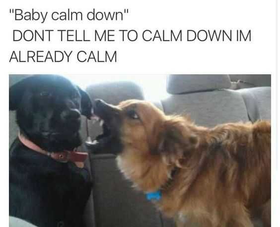 Funny Already Calm