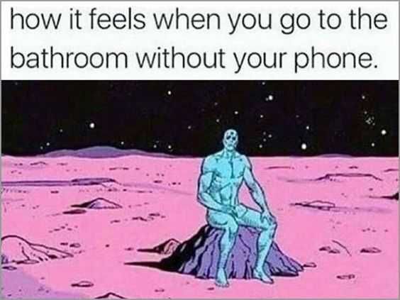 Funny Bathroom Phone