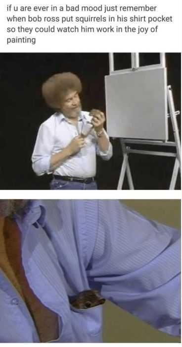 Funny Bob Squirrel