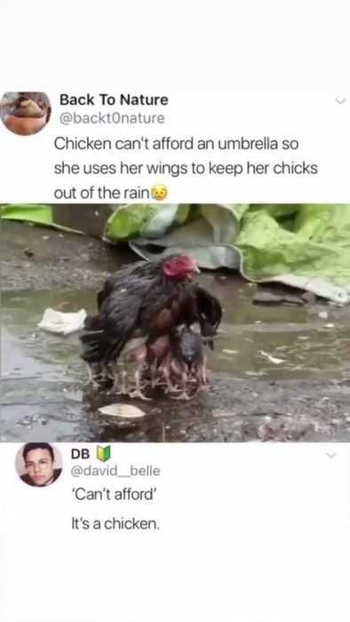 Funny Cant Afford