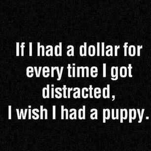 Funny Dollar Distracted