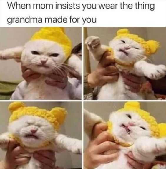 Funny Hate