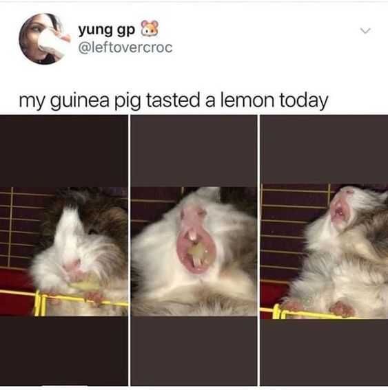 Funny Lemon