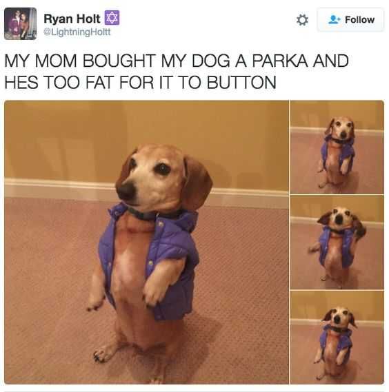Funny Parka Button