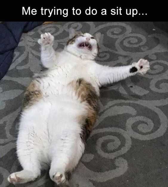 Funny Sit Up