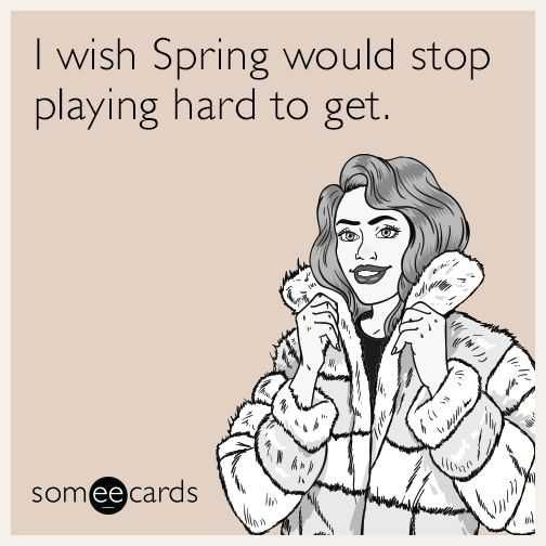 Funny Spring Hard To Get