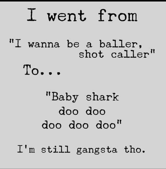 Funny Still Shark