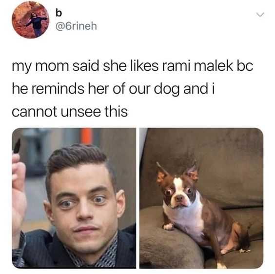 Funny Unsee