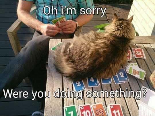 Jerk6