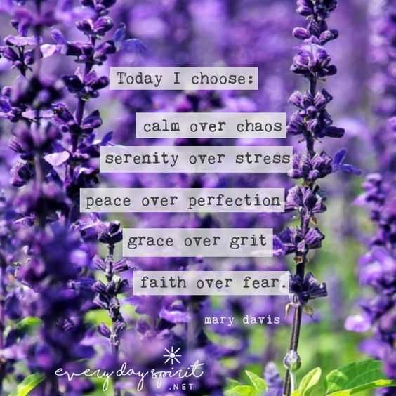 Quote Today I Choose