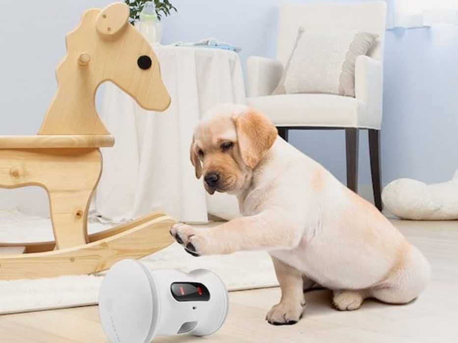 Varram Pet Robot Dog