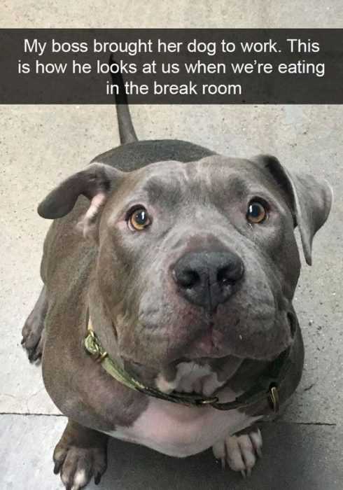 Funny Break Room
