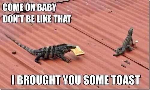 Funny Brought You Toast