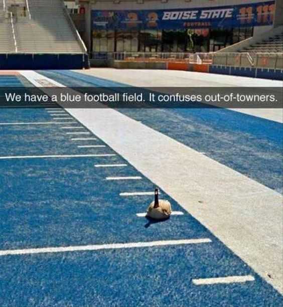 Funny Duck Field