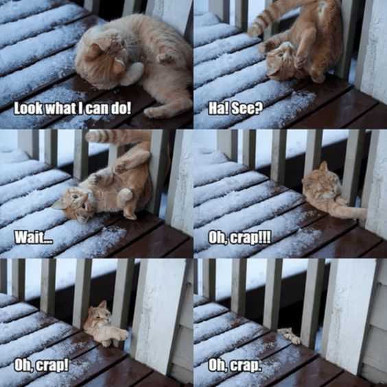 Funny Ho Fall