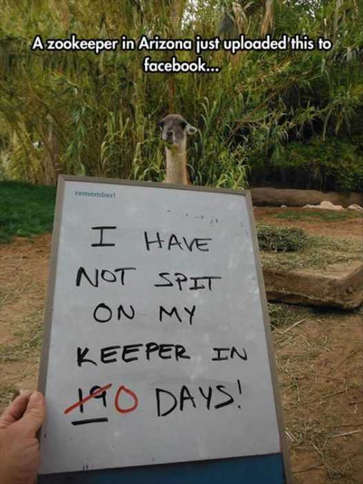 Funny Keeper Spit