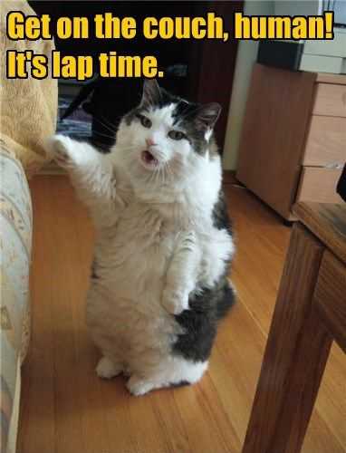 Funny Laptime